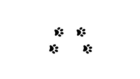 Pfotenabdrücke-Tierfüße-Fußabdrücke-Pfotenabdrücke-Hund-Katze-4k